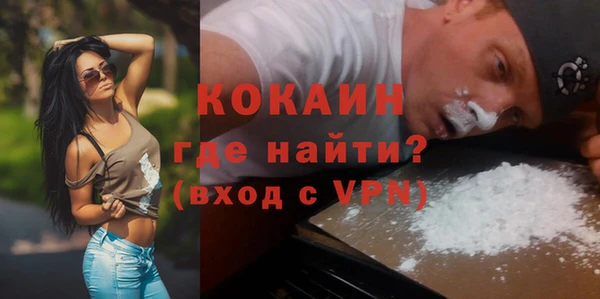шишки Павлово