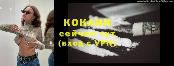 мдпв Кукмор