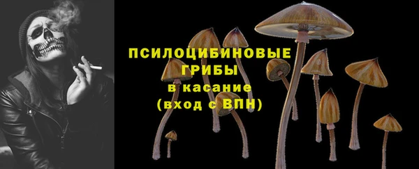 мдпв Кукмор